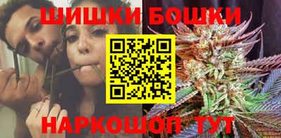 спиды Новодвинск