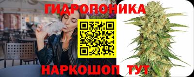 спиды Новодвинск