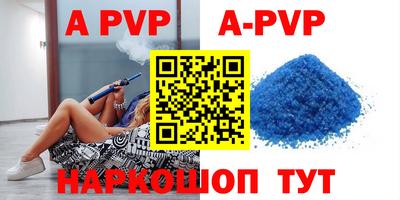 спиды Новодвинск